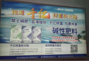 磷復肥特輯 ▌復合肥廠商齊聚武漢 何種產品才是未來