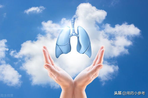 好肺好健康，日常生活中護肺良方
